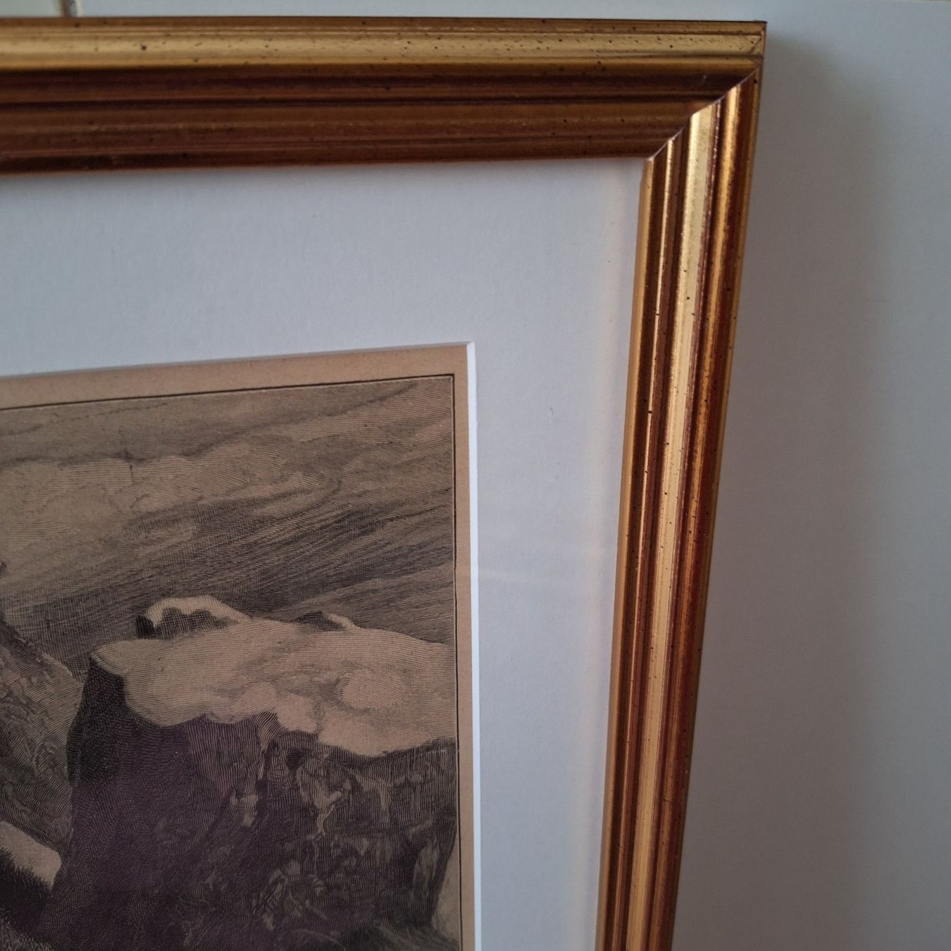Foto & Immagini: Grösseres Bild, "In der Falle", F. Specht – Usato da Winterthur venduto da Goldpipau 1