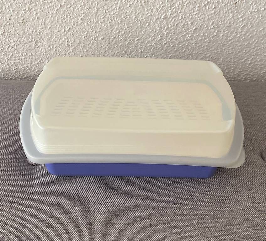 Contenitori & Simili: Tupperware Four Seasons Lunchbox  neu – Usato da Künten venduto da Gubapri