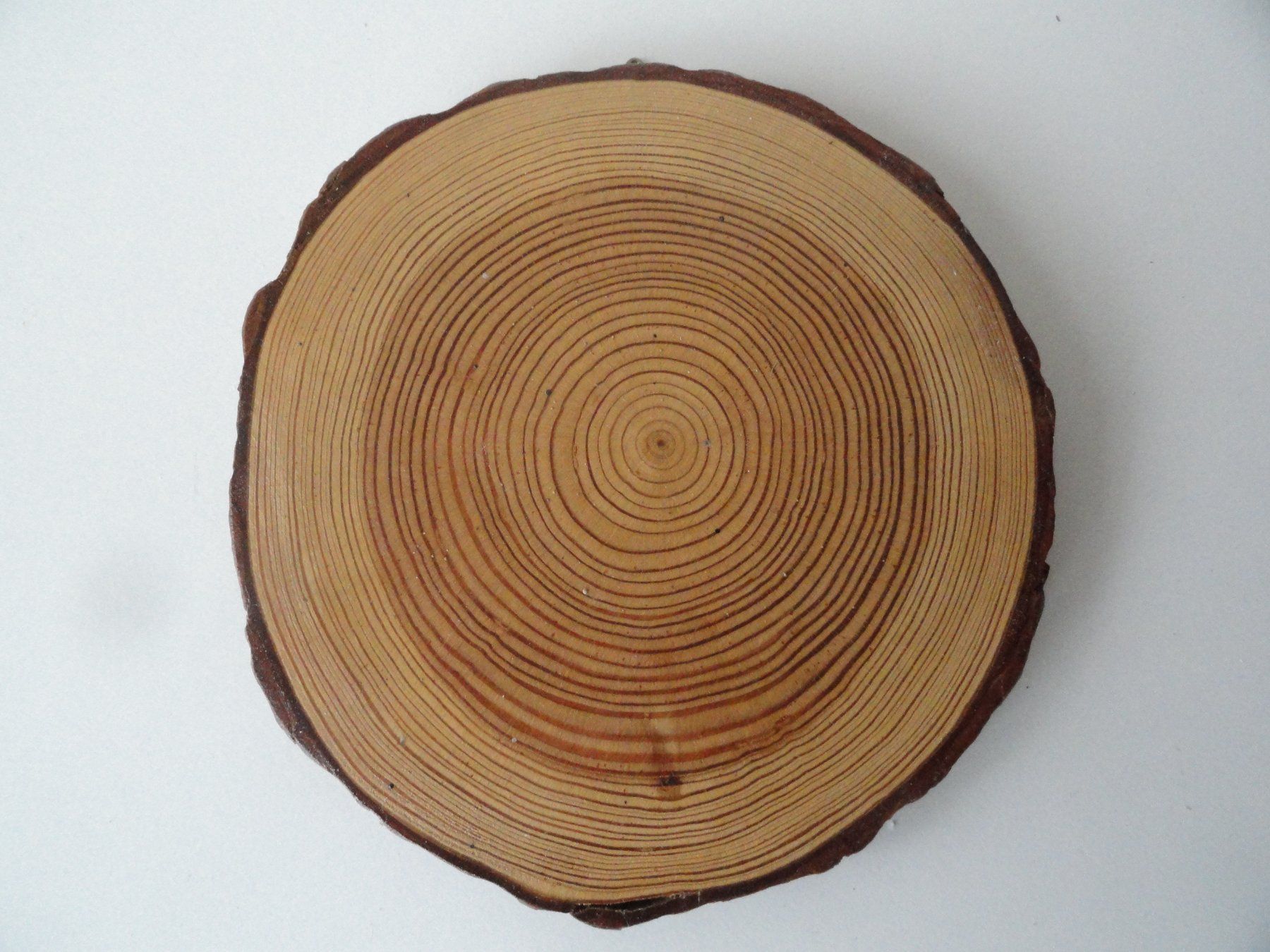 Tutte le decorazioni: Rustikale Baumscheibe 12.5 cm Durchmesser Bild Unikat! – Nuovo (secondo la descrizione) da Ins venduto da Baj