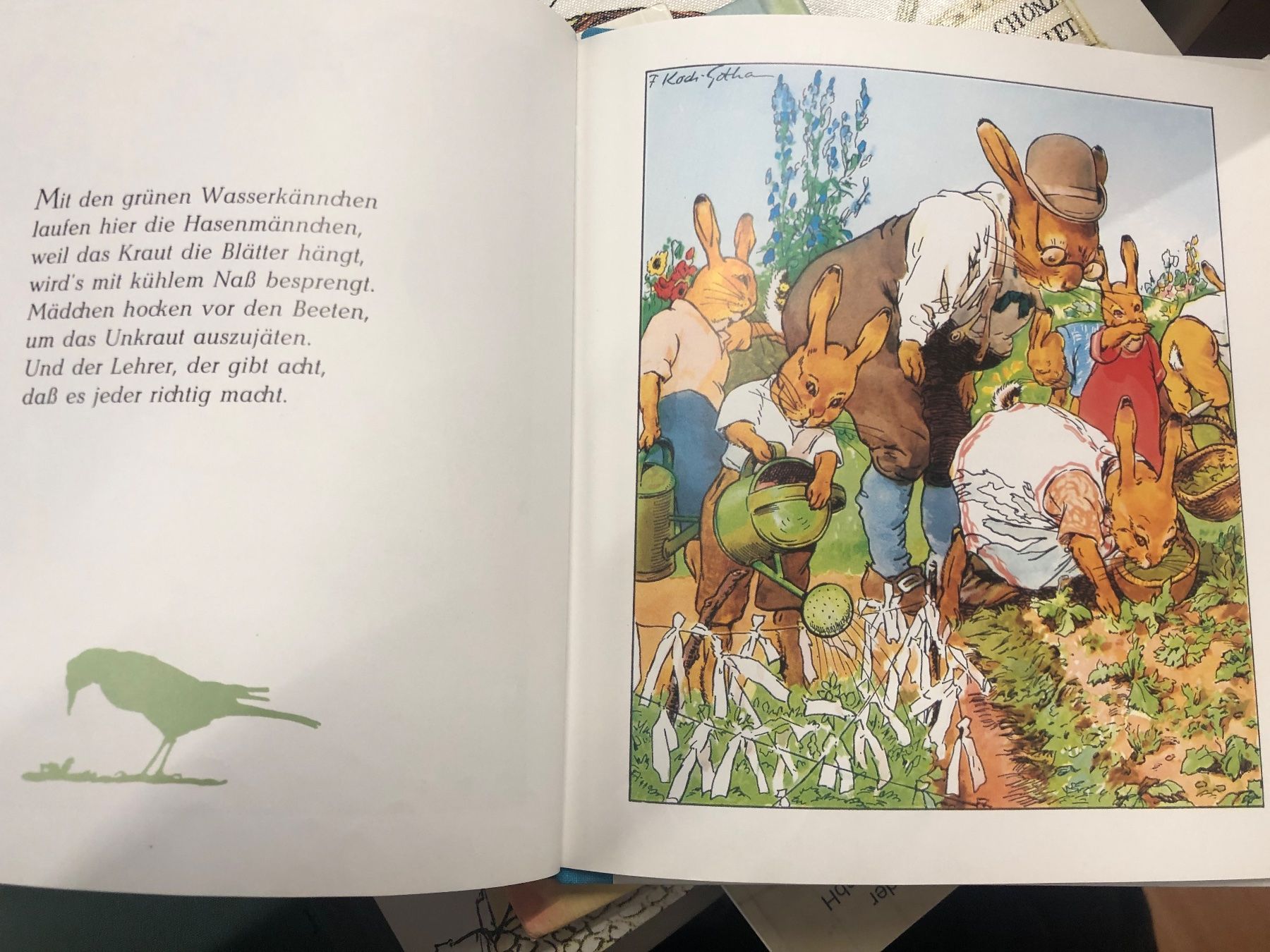 Libri: Bilderbuch "Die Häschen-Schule" - Hahn's Verlag – Usato da Pratteln venduto da Dollshop 3