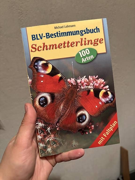 Libri: Schmetterlings Ratgeber – Usato da Untervaz venduto da Calimera1997 2