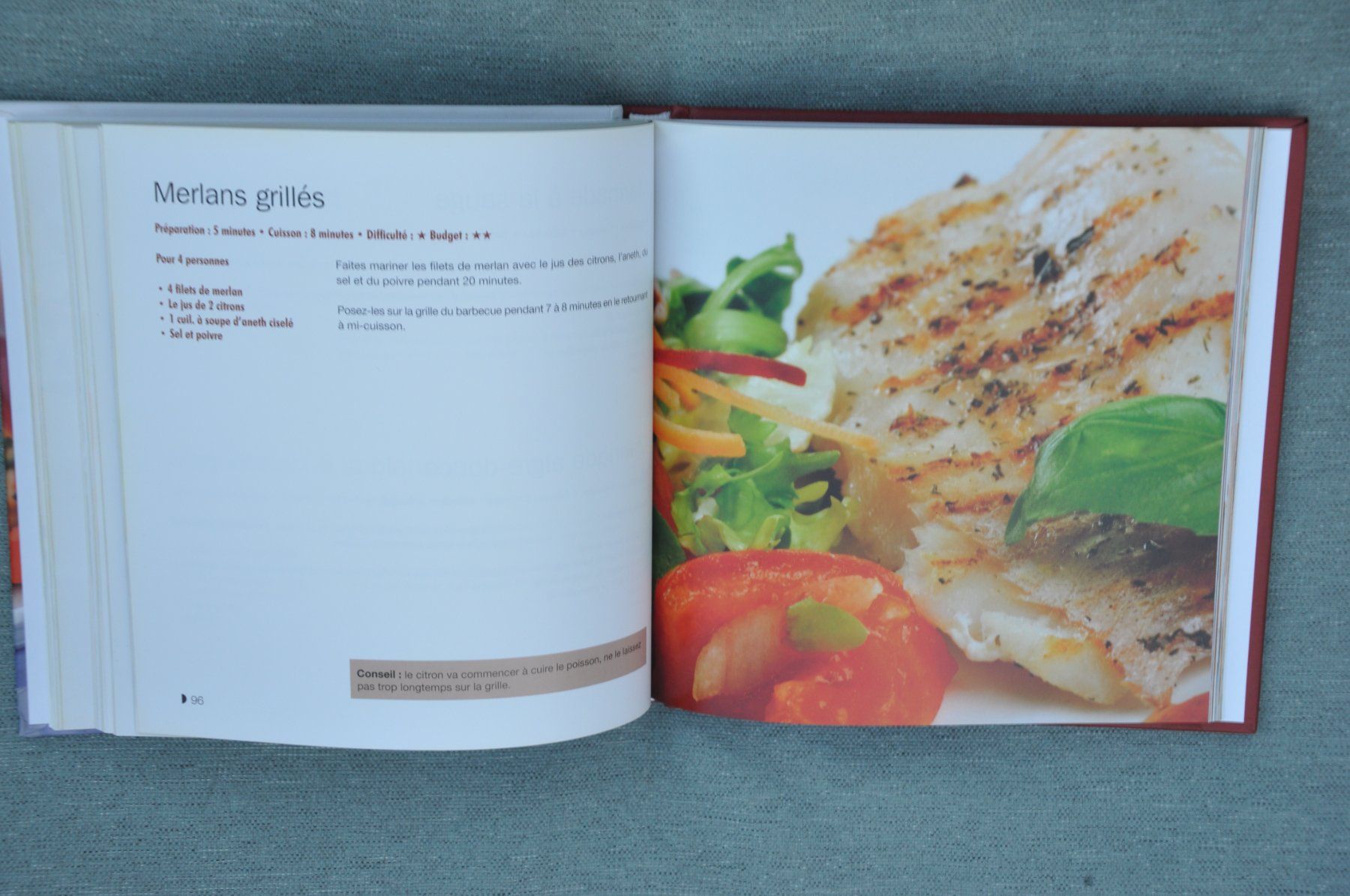 Libri: 140 recettes de grillades et barbecue – Usato da Fully venduto da Minouchka 4