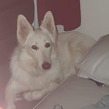Profile image of pas_m27h