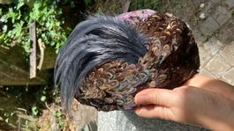 Superbe chapeau ancien Plume Federhut Hut Bibi Faisan