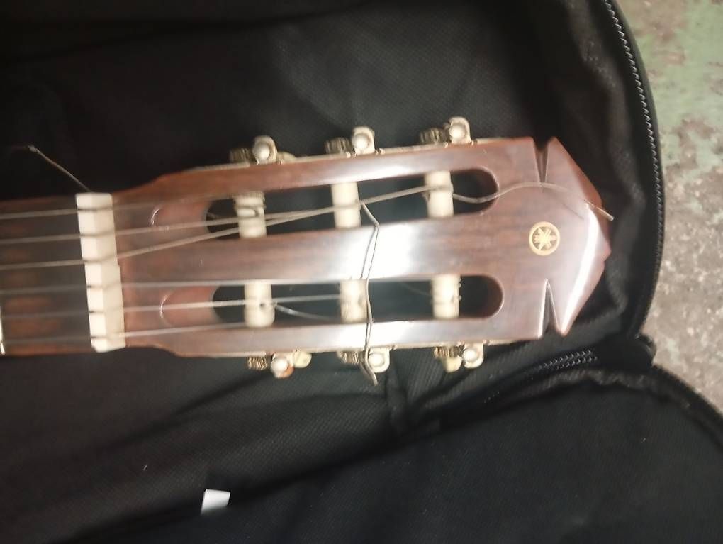 Yamaha Strumenti musicali: Yamaha G55 Konzertgitarre – Usato da Basel venduto da Petergunn 3