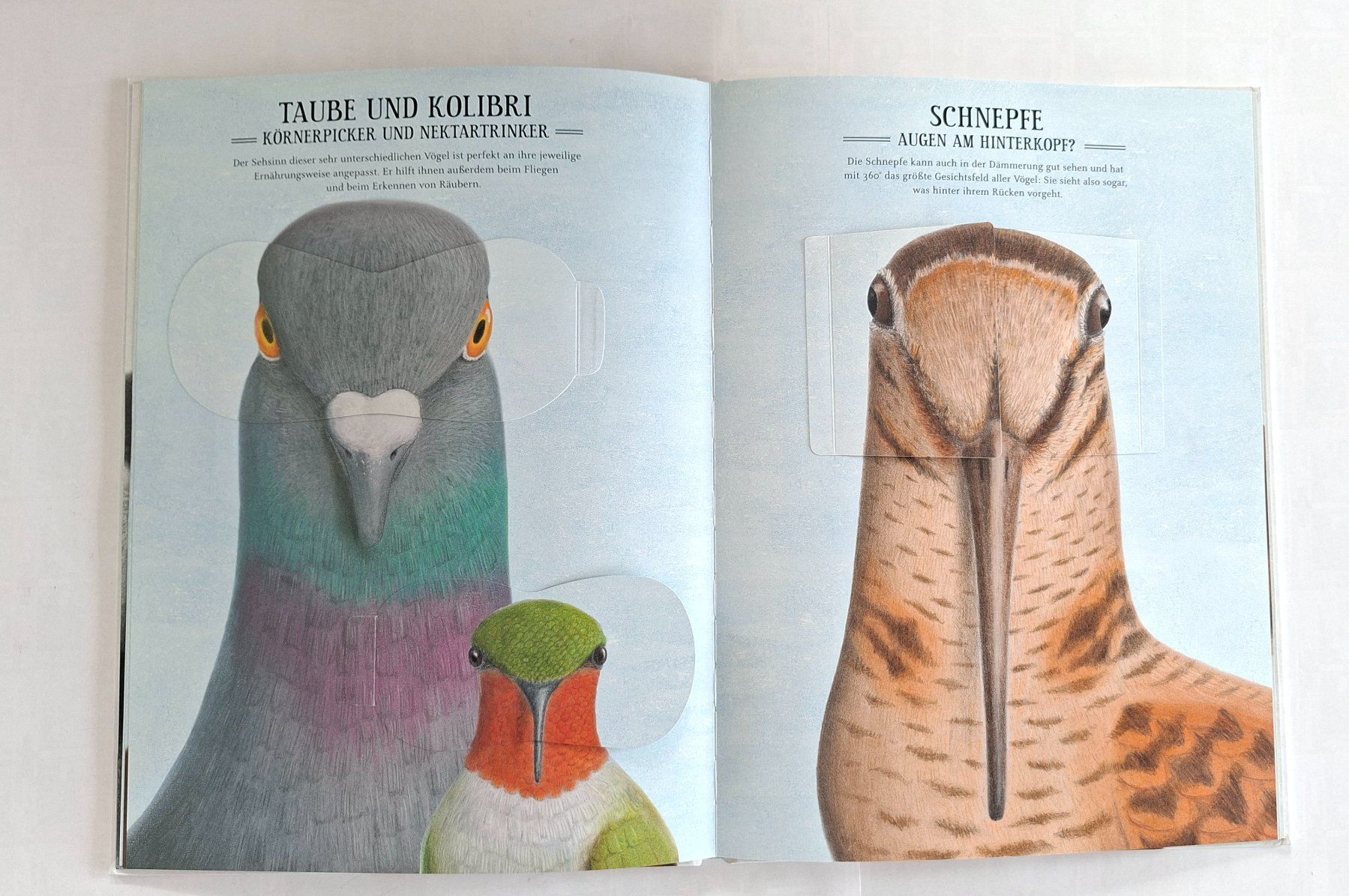 Libri: Kinderbuch: Was sieht eigentlich der Regenwurm? Top! – Usato da Opfikon venduto da Diversamente 6