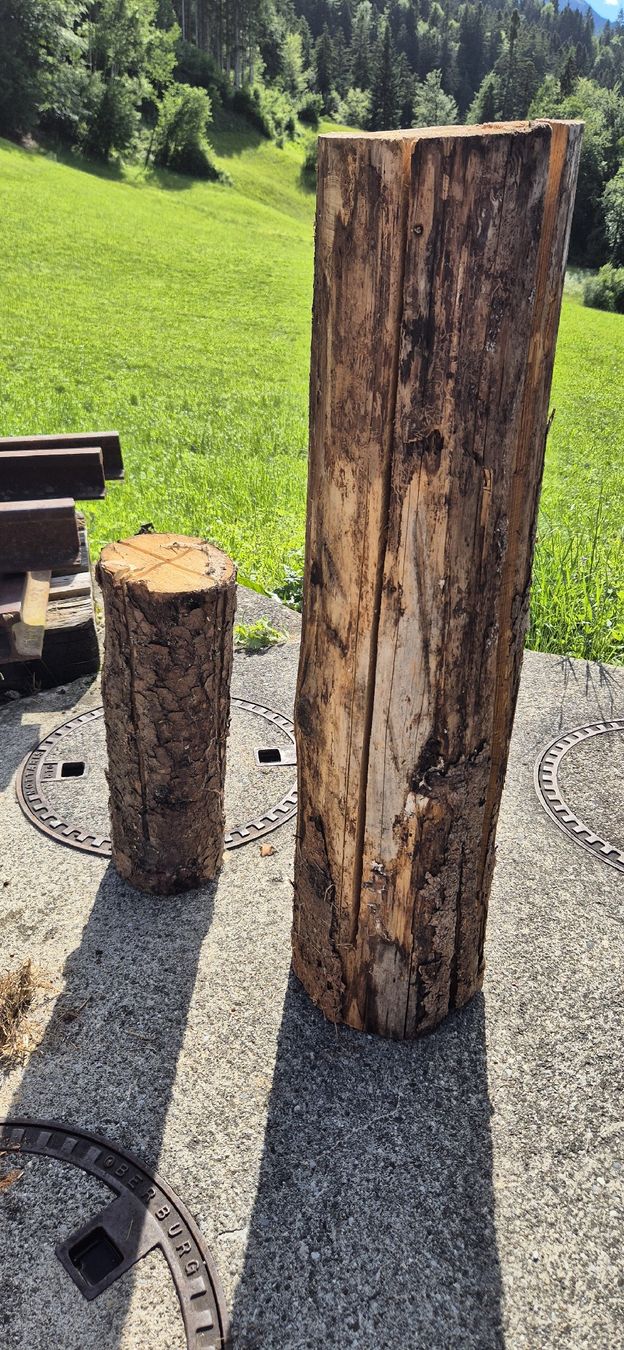 Holzartikel: Finnenkerzen – Neu (gemäss Beschreibung) aus Leissigen von deltaturbo