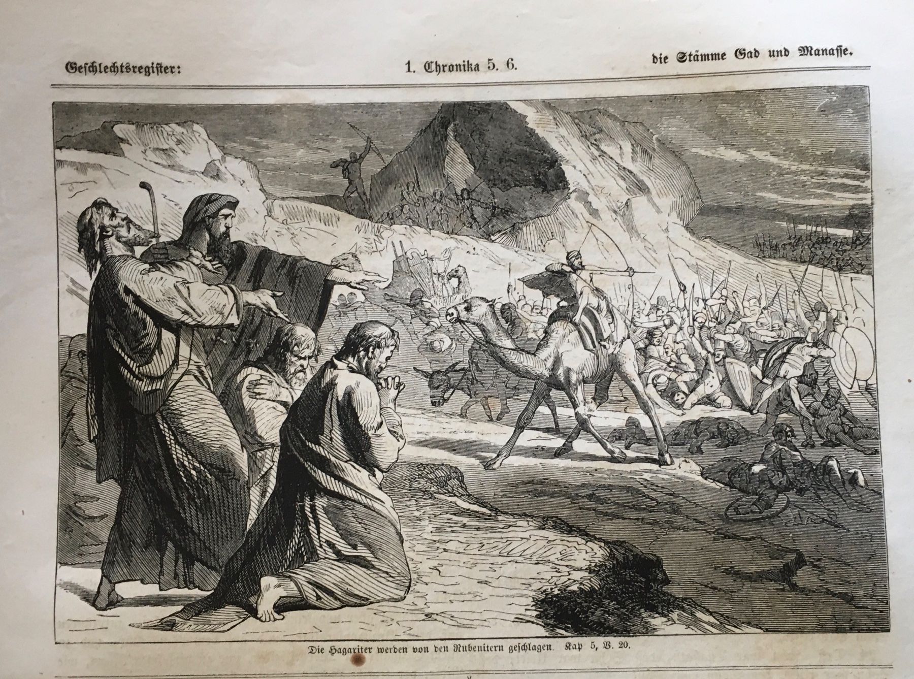 Incisioni: Holzstich 1862 - Die Hagariter, Bibel – Usato da Frauenfeld venduto da Merk52