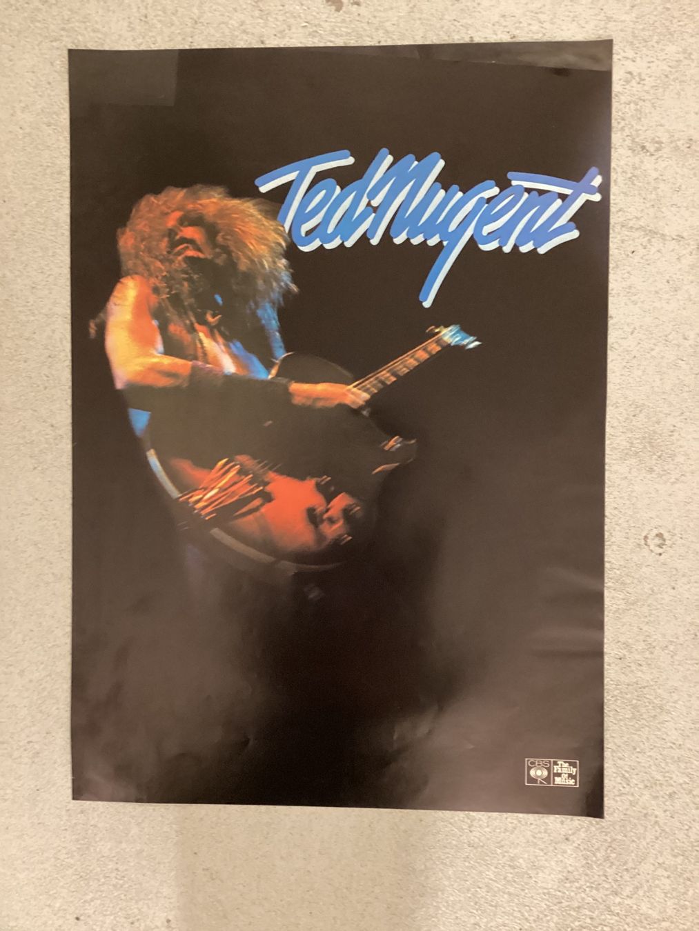 Foto & Immagini: Promoplakat Ted Nugent – Usato da Gutenswil venduto da Hamzian
