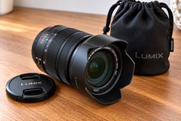 Panasonic Lumix Leica DG Vario-Elmarit 12–60 mm f/2.8–4.0