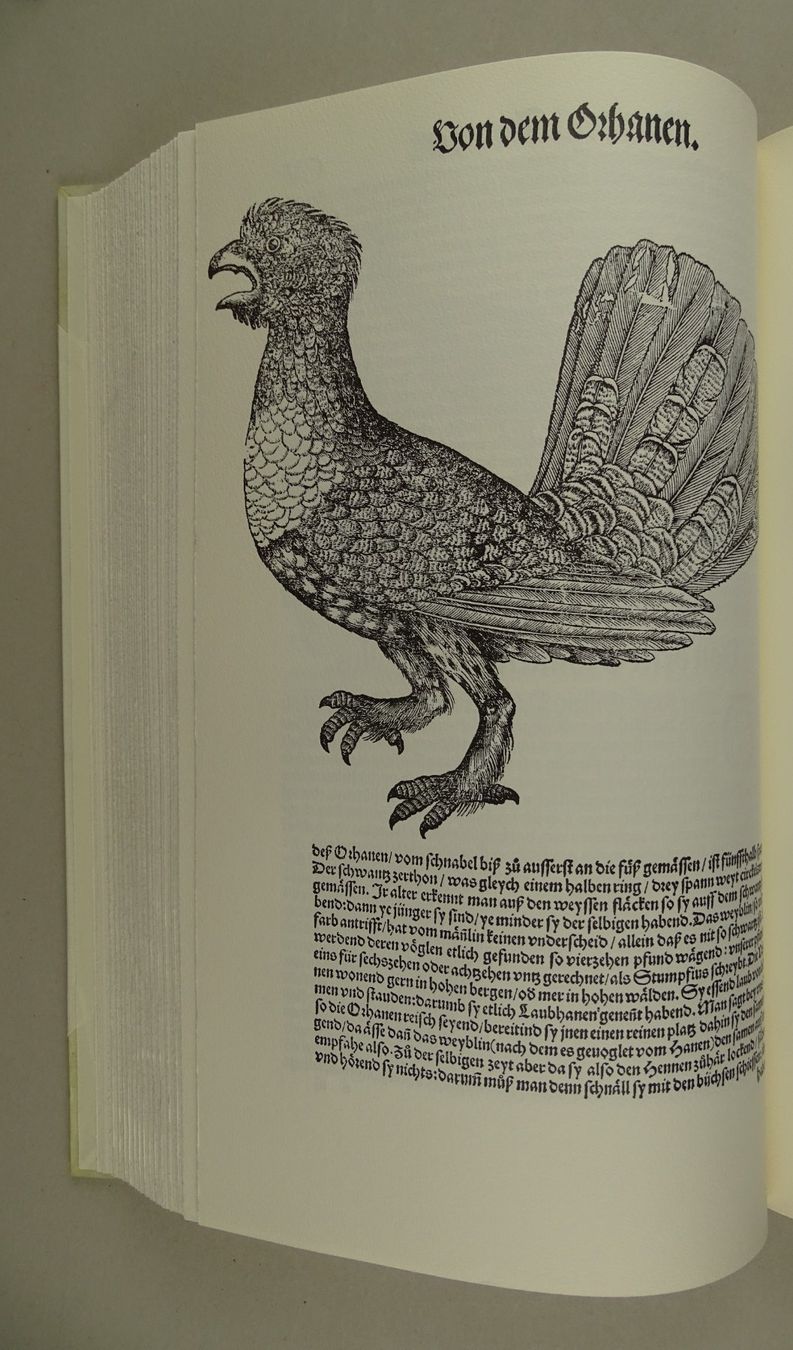 Libri: CONRAD GESSNER: VOGELBUCH, FAKSIMILE – Usato da Grüningen venduto da Kartensammler 4