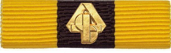 Schweizer Armee Placchette & Badge: Ribbon Kameradenhilfe / ABC Abwehr – Nuovo (secondo la descrizione) da Koblenz venduto da Himmelsreiter