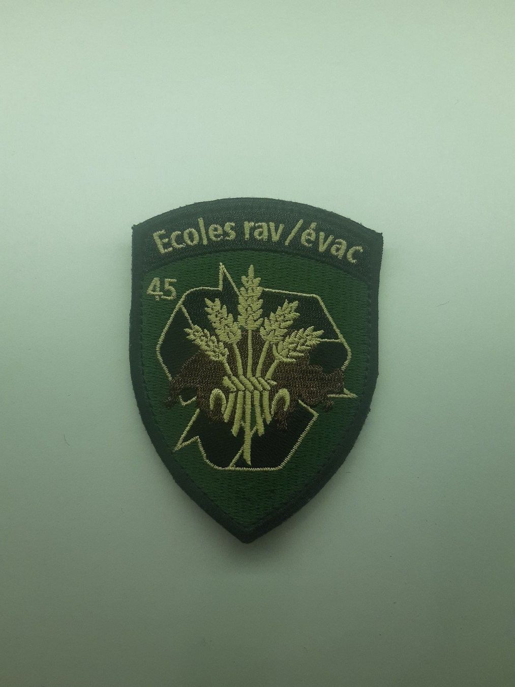 Schweizer Armee Placchette & Badge: BADGE ECUSSON MILITAIRE SUISSE ECOLE RAV/EVAC 45 – Nuovo (secondo la descrizione) da Domdidier venduto da baumeyer-seb