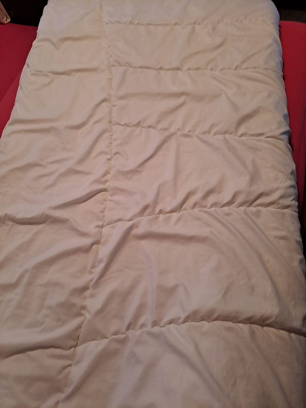 Decken: Irisette Bettdecke 160x210 cm 100% Polyester Füllung  – Gebraucht aus Rickenbach b. Wil von cornetta 2