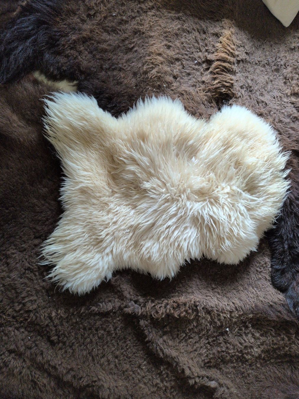 Il mondo degli animali: Schaffell (Echt) – Nuovo (secondo la descrizione) da Ruggell venduto da Tim-Werk 1