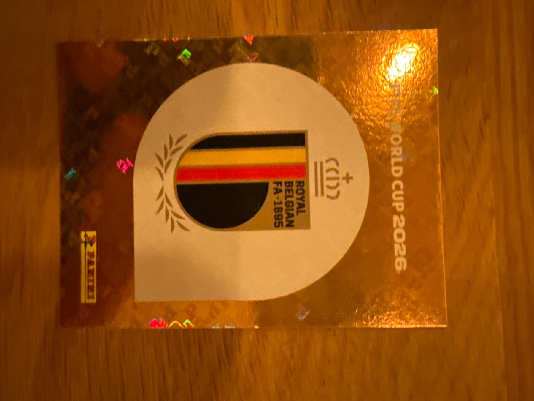 Panini Carte collezionabili: Panini – Usato da Langnau i. E. venduto da Acrjl