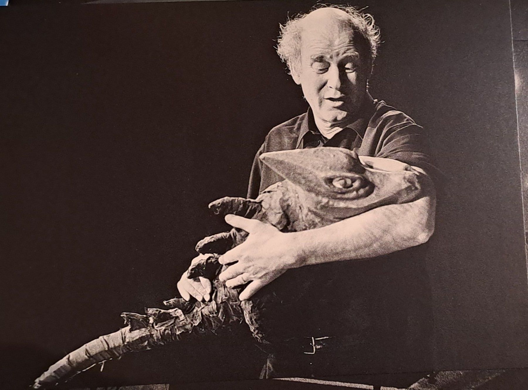 Cartoline postali: Franz Hohler – Usato da Münsingen venduto da Rocking 6