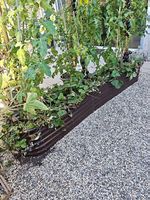 Hochbeet / Tomatenbeet / Pflanzkiste 230*39*35