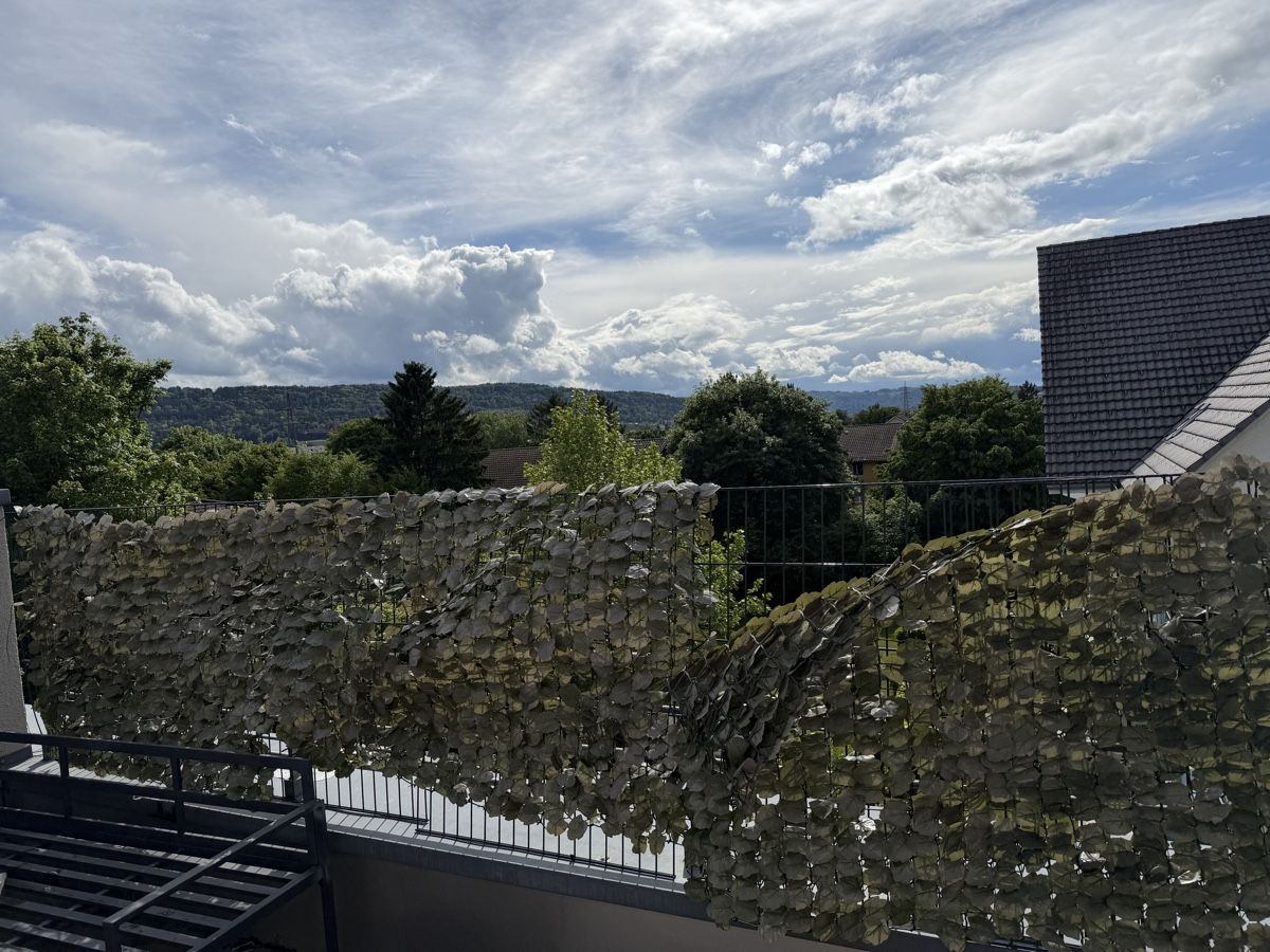 Griglie e Inferriate: Balkongitter/Metallgitger – Usato da Buchs ZH venduto da Mefece 1