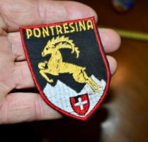 VINTAGE Badge PONTRESINA nos ST. GALLER STICKEREI steinbock