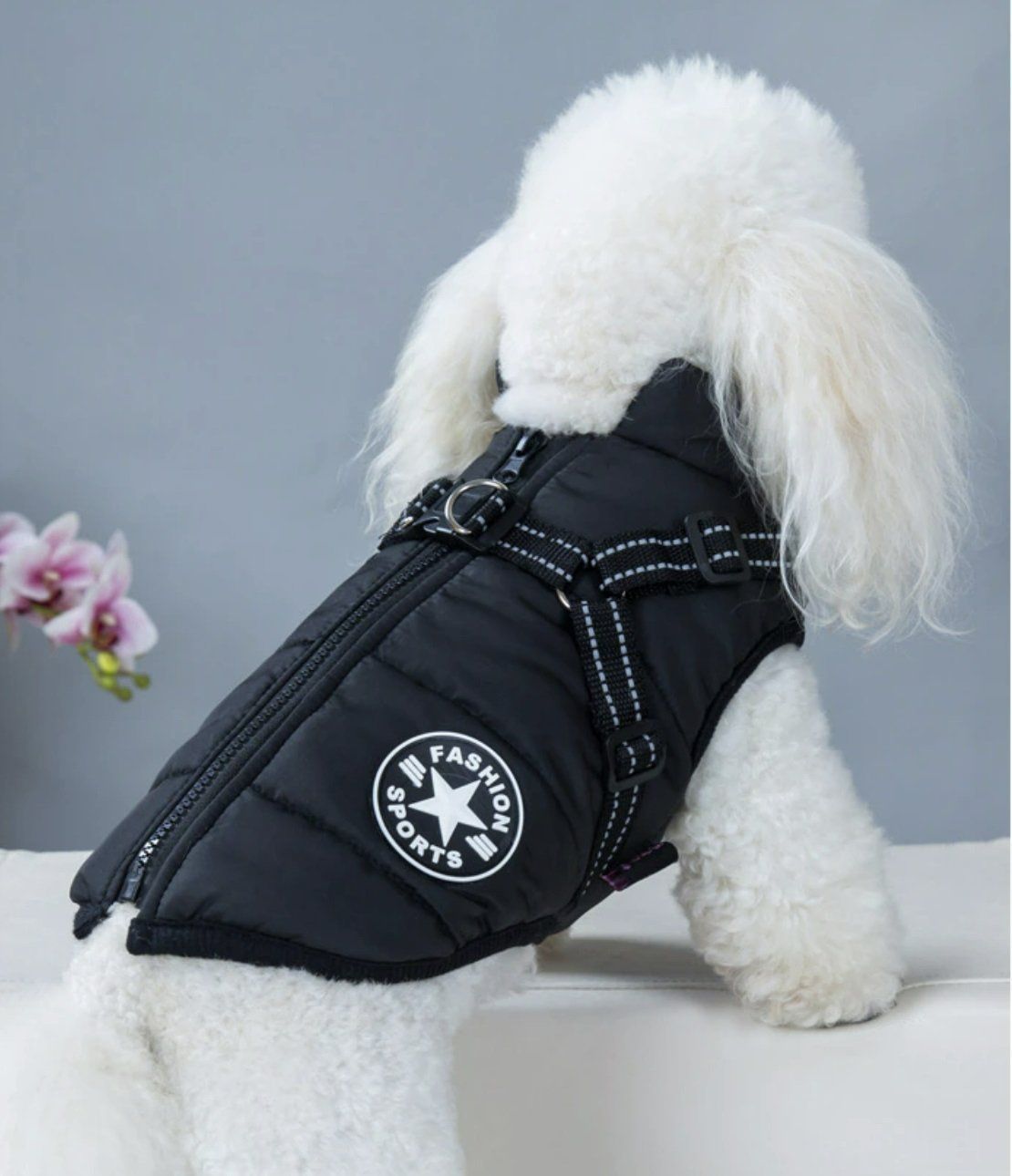 Sport Hundemantel L schwarz mit Geschirr 30 cm * Aktion * (Neu und  originalverpackt) in Regsauschachen fr CHF 11  mit Lieferung auf Ricardo  kaufen