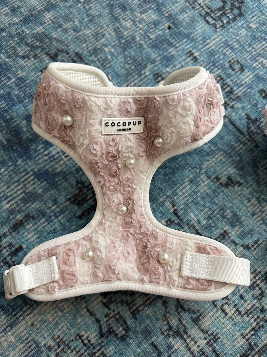 Attrezzatura da arrampicata: CoCoPup London Hunde Set S – Usato da Zürich venduto da wil_2sm9 2