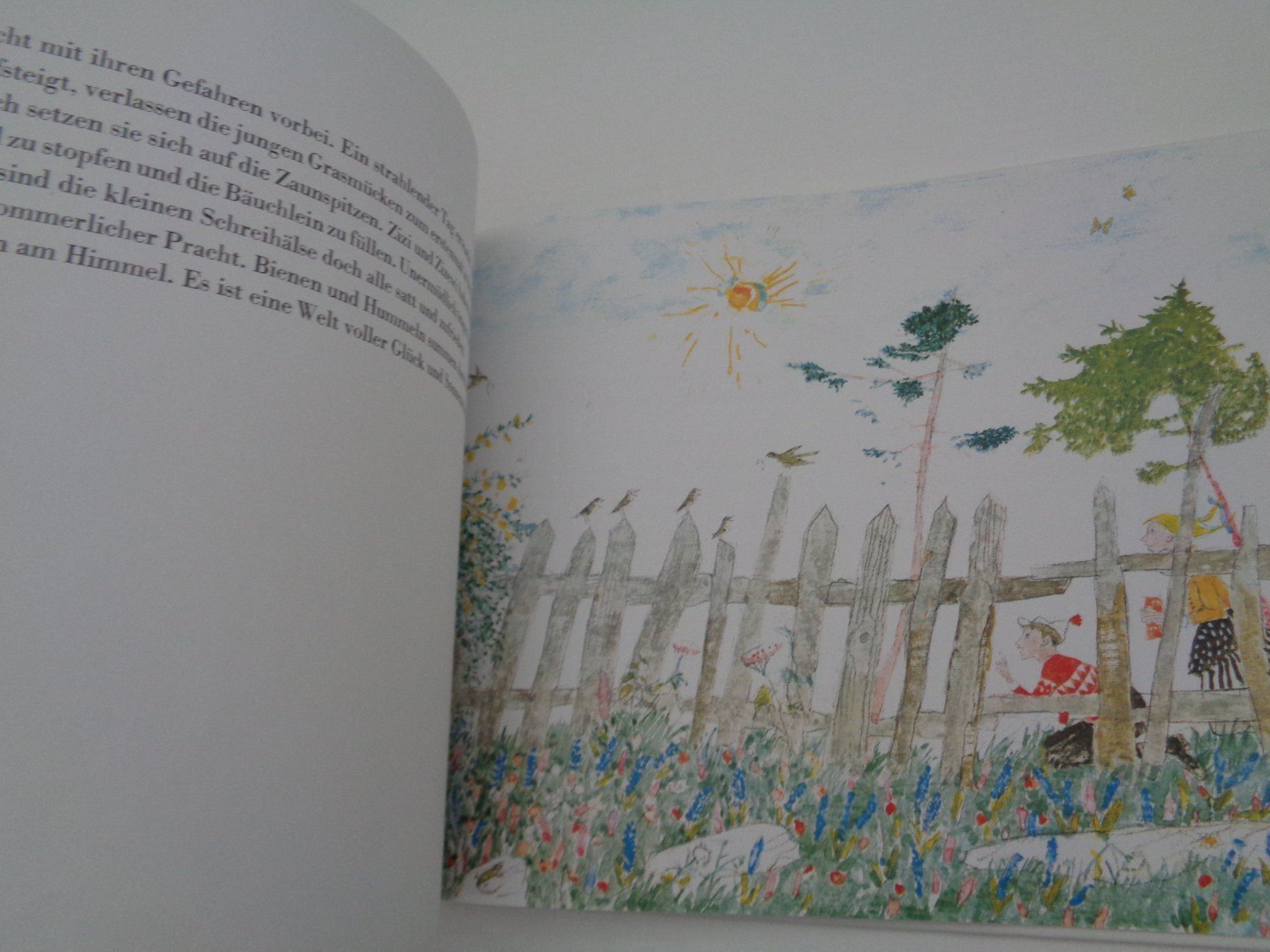 Libri: Birnbaum Birke Berberitze A. Carigiet – Usato da Chur venduto da omonia 2