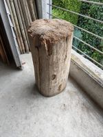 Holzstamm, Baumstamm
