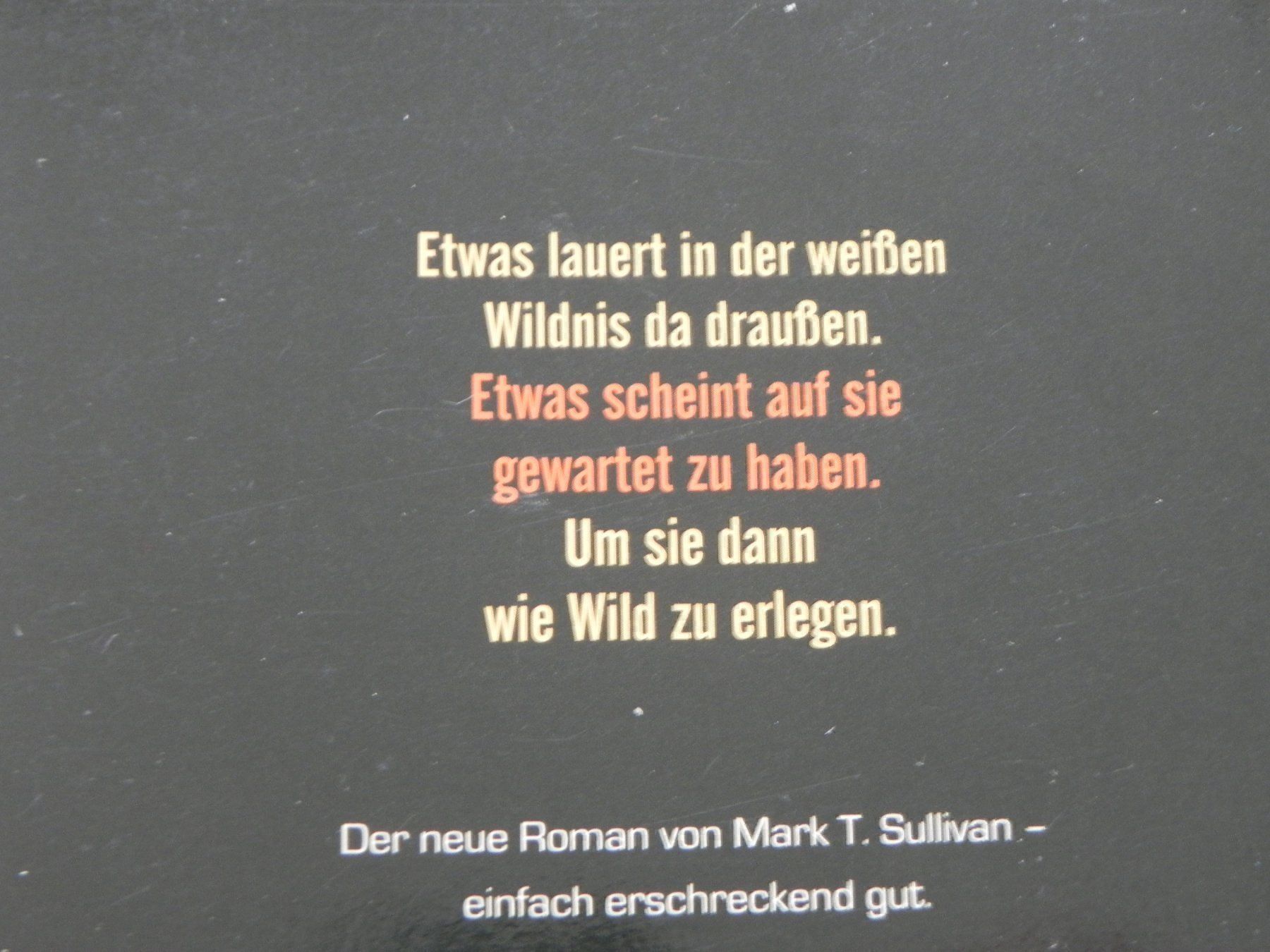 Libri: 6 Taschenbücher Triller versch. Autoren – Usato da Siebnen venduto da krimsie 5