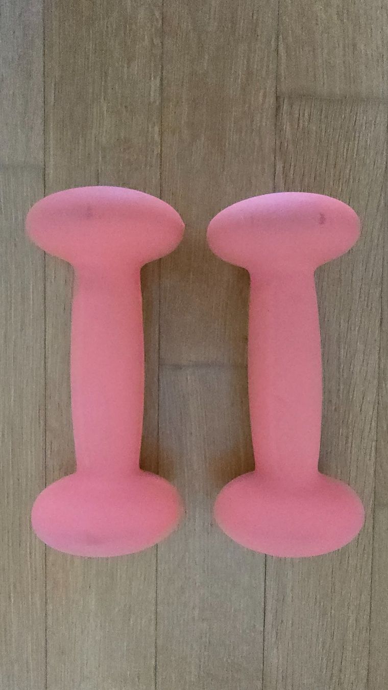 Tunturi Manubri & Pesi: Tunturi Kurzhantel Set 2x 2kg – Usato da Rafz venduto da Domimir