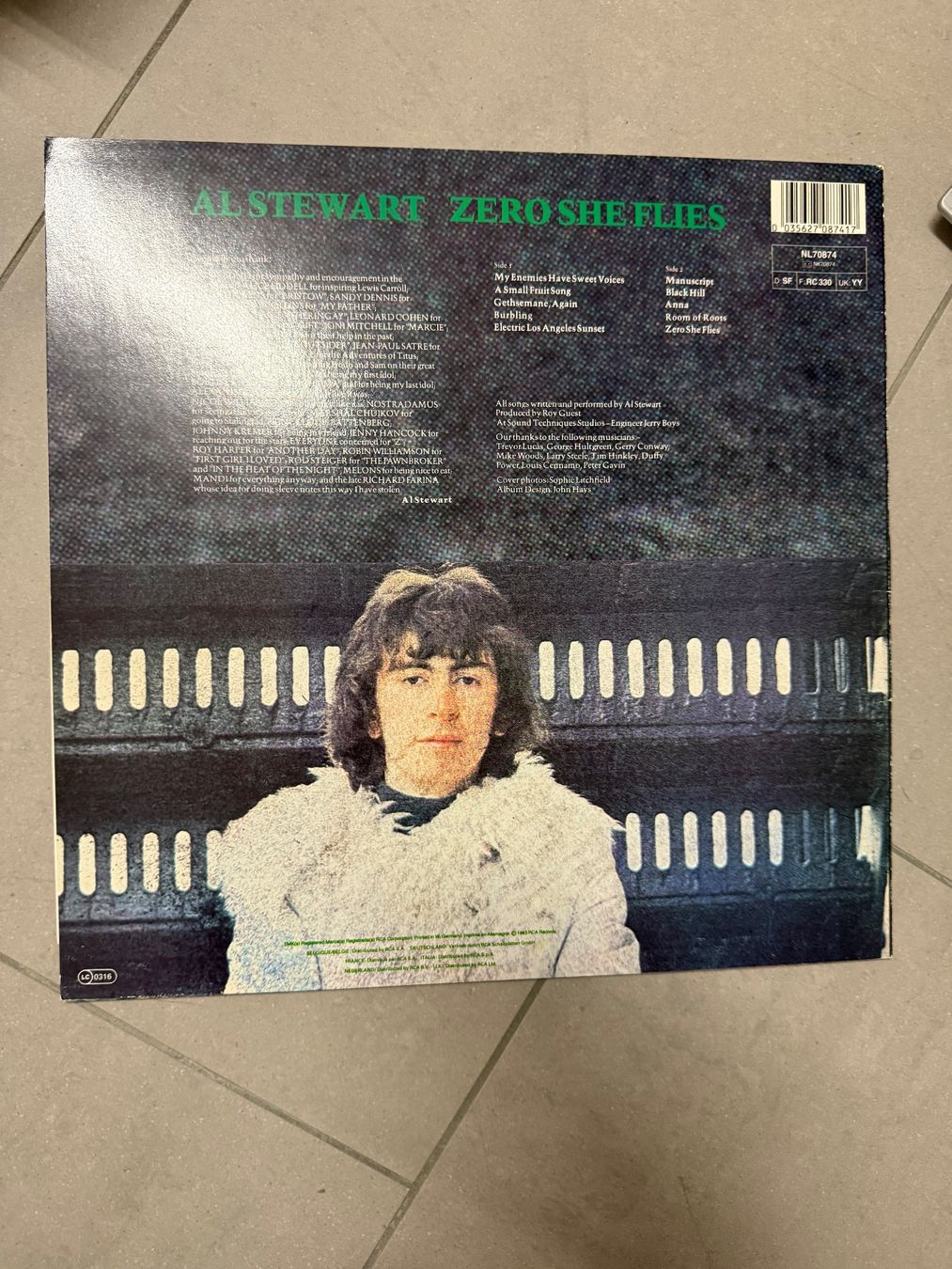 Dischi in vinile: Schallplatte / Al Steward / Zero She Flies – Usato da Freidorf TG venduto da sarotiko 1