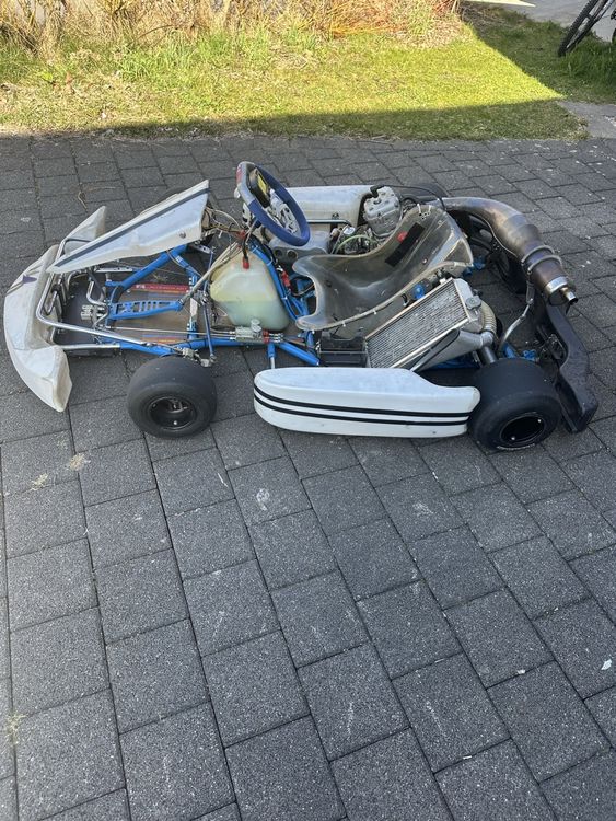 Kart 125ccm Fernando Alonso 4