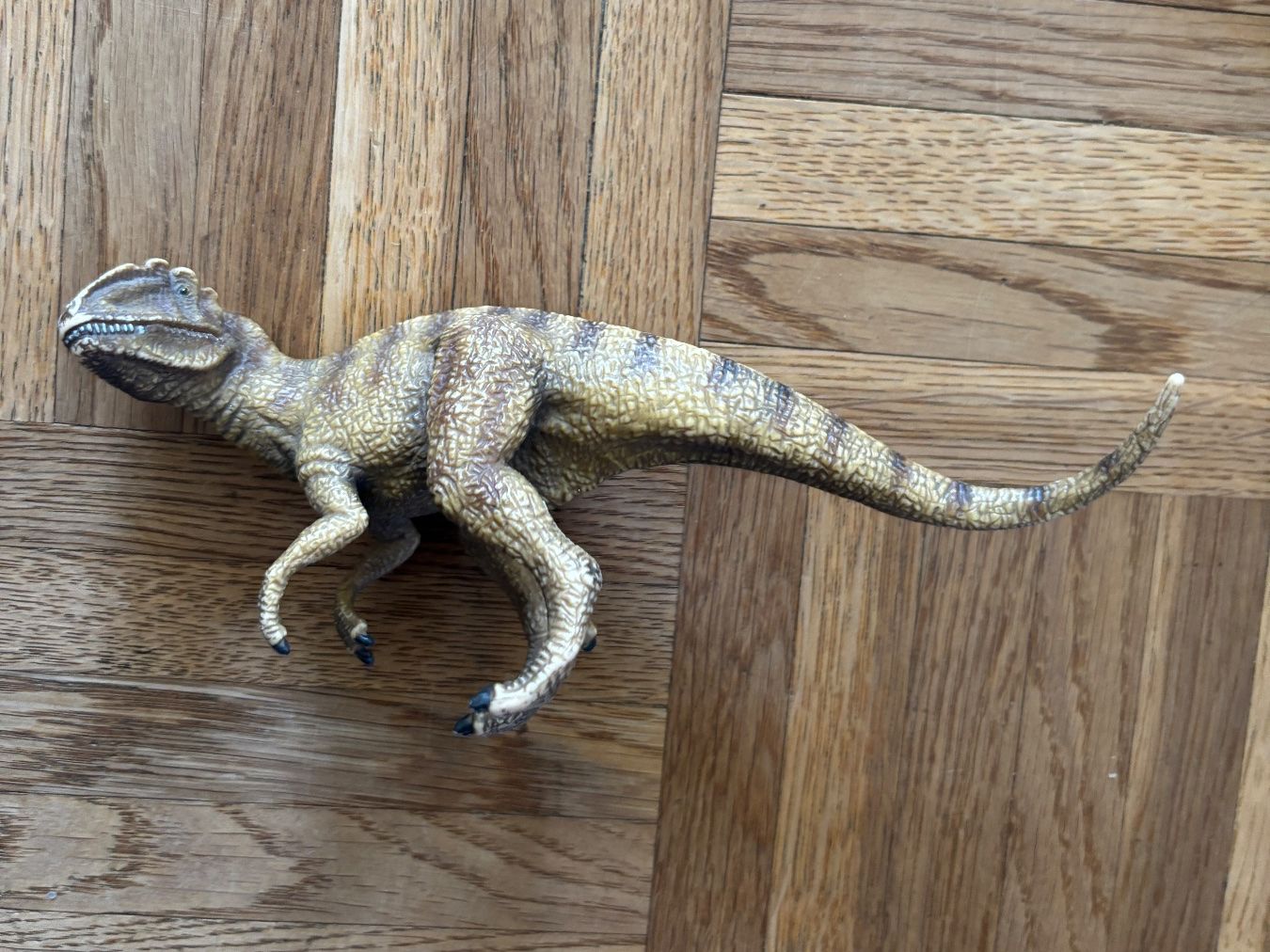 Schleich Giocattoli: Schleich Allosaurus 🦖 – Usato da Tägerwilen venduto da mar_87t5