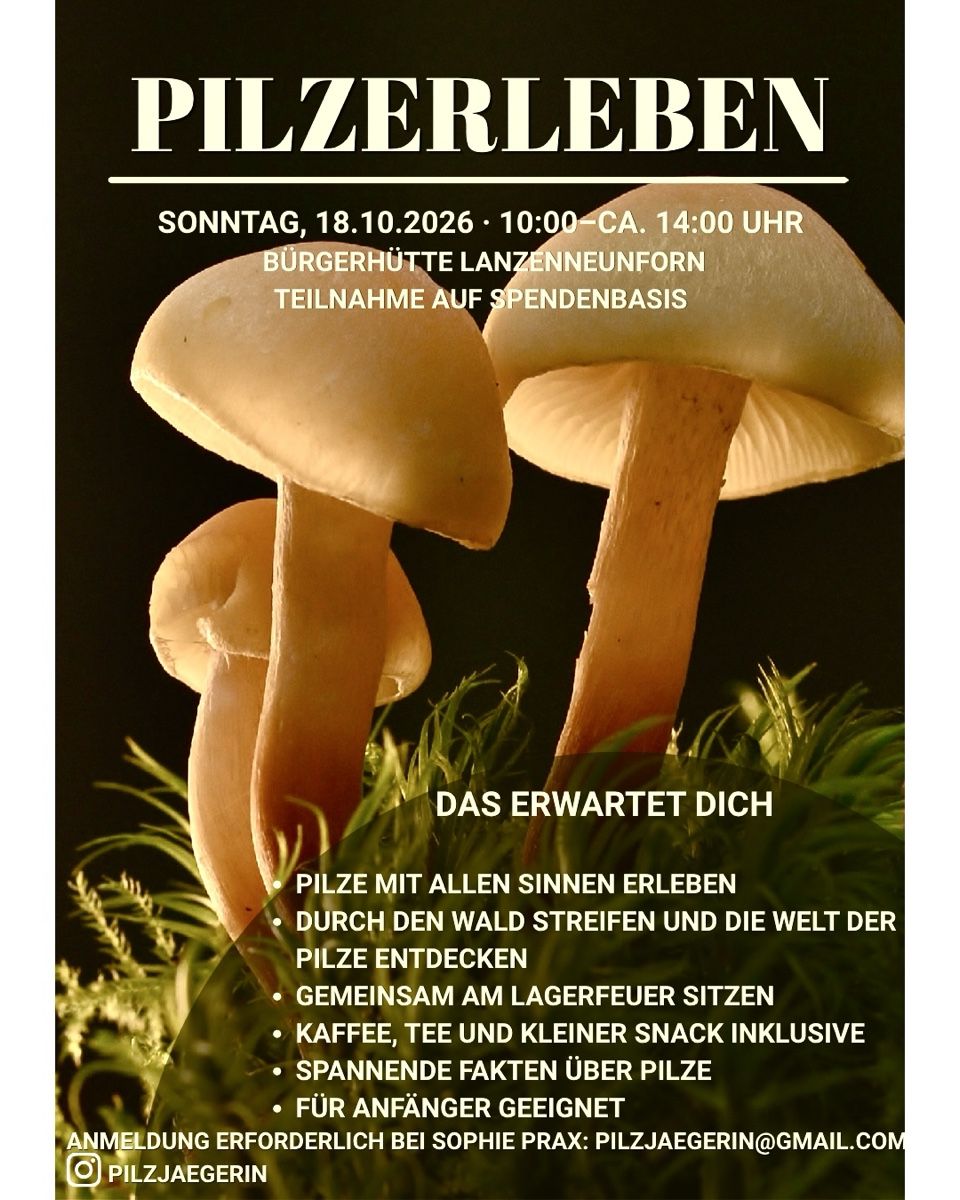 Autres articles bureau & commerces: PILZERLEBEN - Pilzexkursion auf Spendenbasis   – Neuf (Voir description) à Eschenz par Fel_f9z2