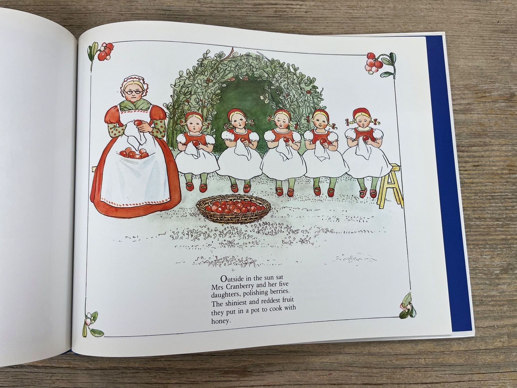 Libri: Elsa Beskov: Peter in Blueberry Land – Usato da Pfäffikon ZH venduto da buresi 6
