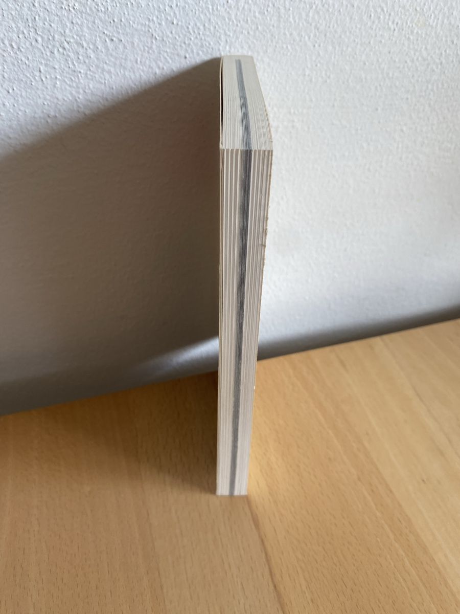 Libri: Berner Brunnen Chronik – Usato da Schwarzenburg venduto da Michellu 3