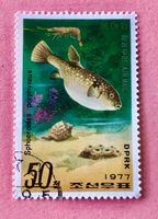 Briefmarken aus Nordkorea  Muscheln und Fischen  GESTEMPELT