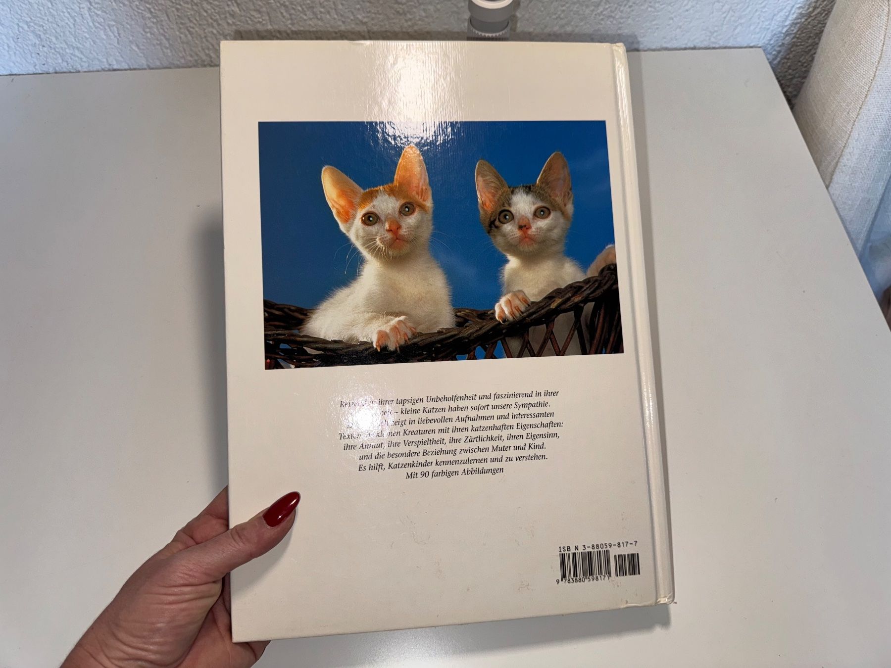 Libri: BUCH: Katzenkinder – Usato da Grosswangen venduto da Second_hand_paradise 8