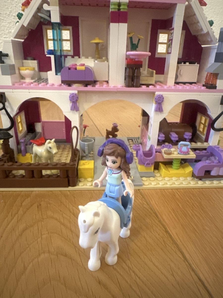 Lego Giocattoli: Lego Friends Pferdestall – Usato da Wettswil venduto da ann_cdf7 4