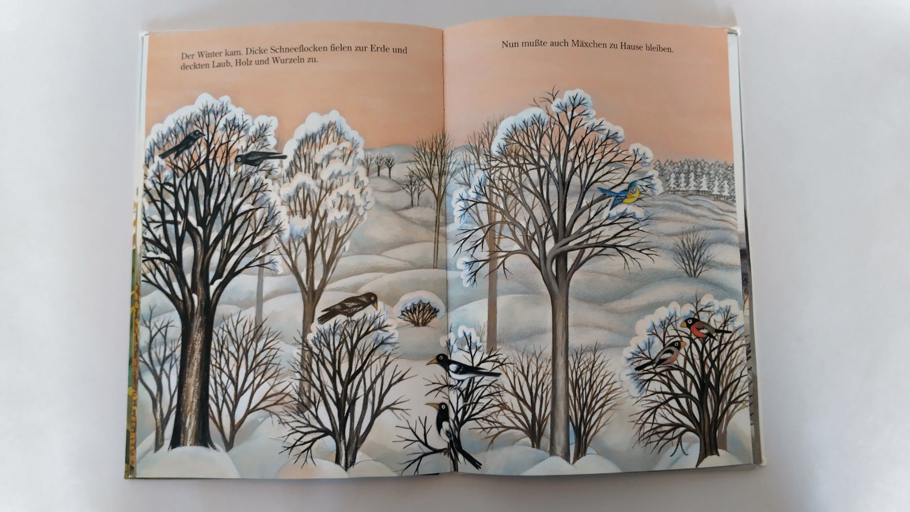 Libri: Mäxchen der Hamster /  Bilderbuch 1991 ab Fr. 8.- – Usato da Bellach venduto da JingleJerry 5