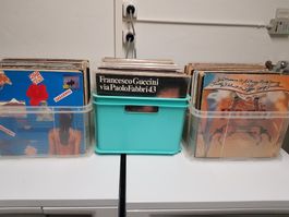 Schallplatten Vinil Sammlung ca. 150 Stk