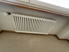 Stahl-Rippenheizkörper mit Danfoss-Thermostat. Radiator