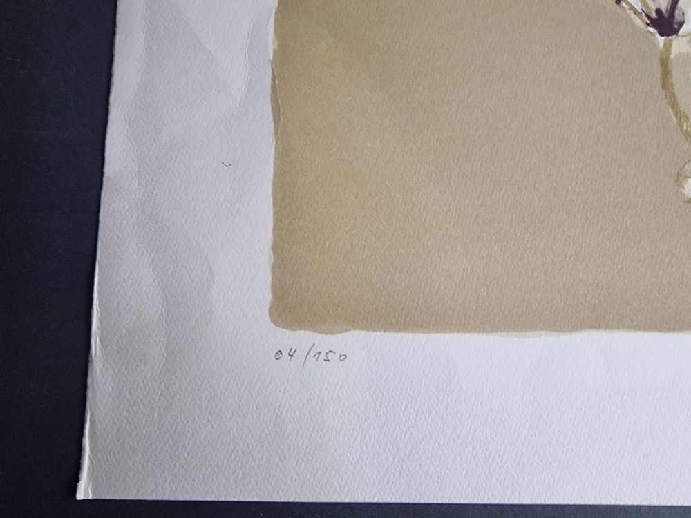 HANS RUEDI SIEBER LITHOGRAPHIE SIGNIERT NUMMERIERT 5