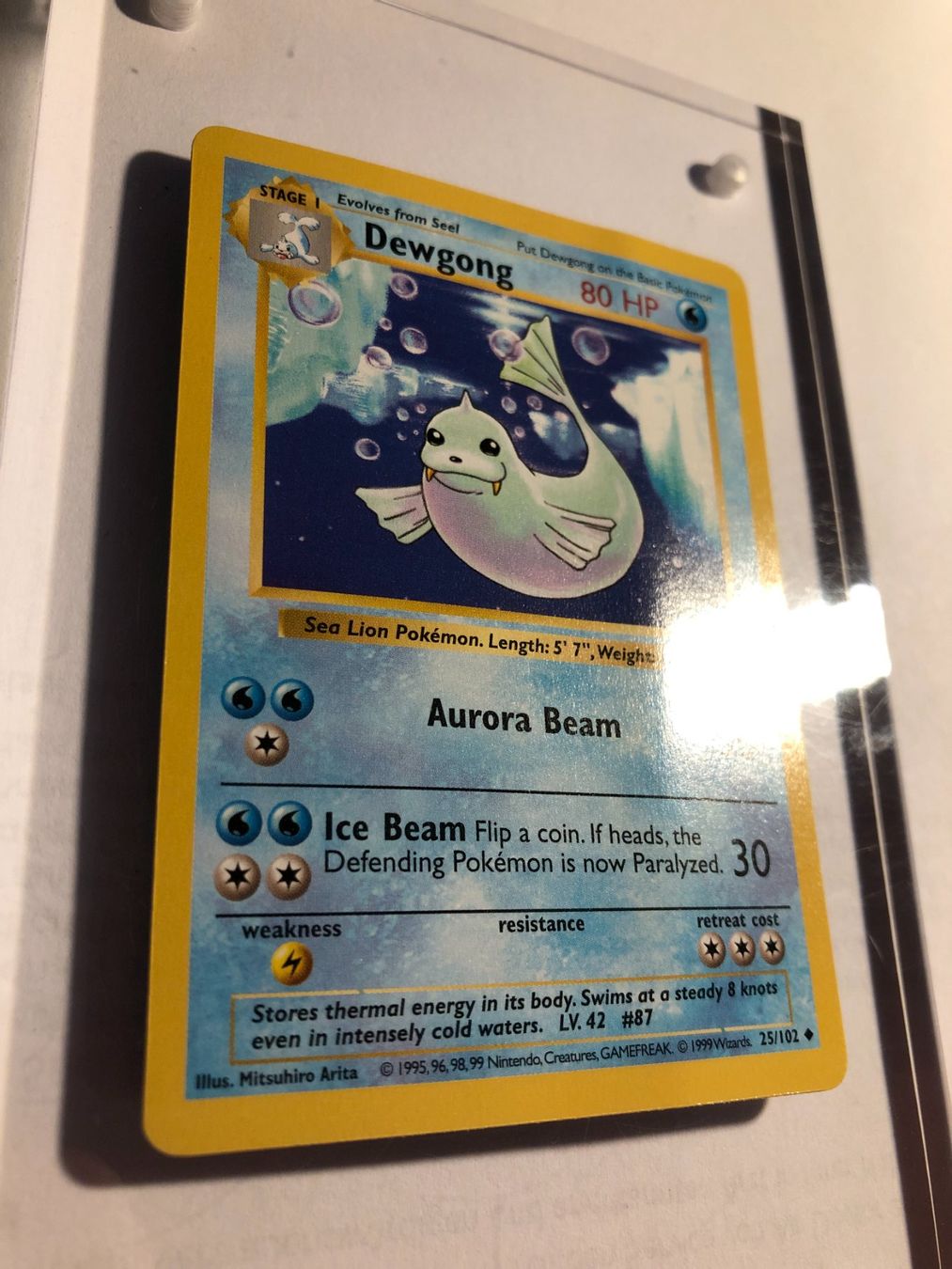 Carte collezionabili: Dewgong (uncommon) Base Set Shadowless - PL - ab 1.- – Usato da Giubiasco venduto da dan_pr8b 1