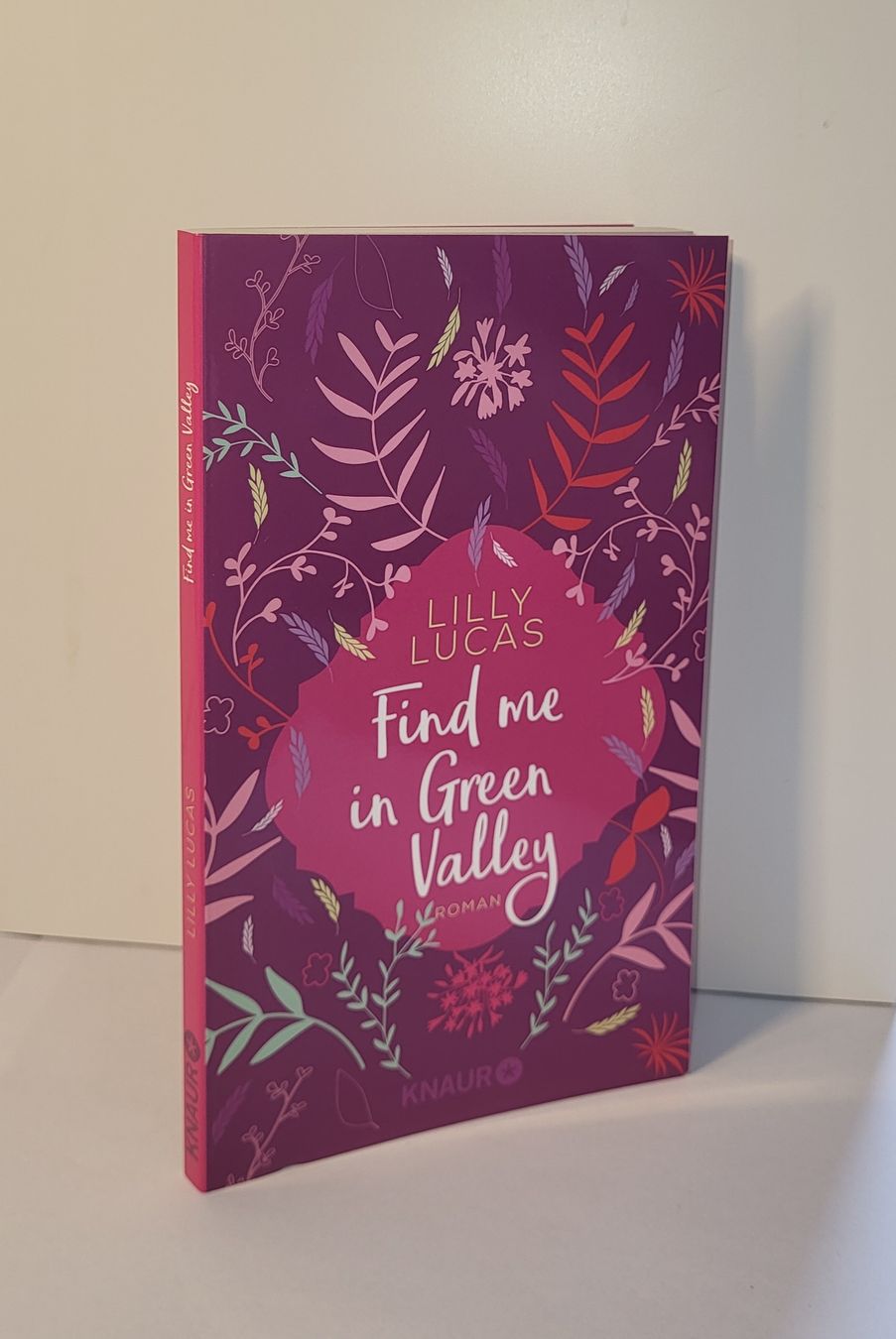 Libri: Find me in Green Valley – Usato da Uzwil venduto da jae_8khn