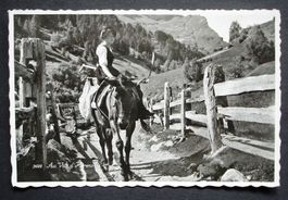 EVOLÈNE Val d'Hérens - Jeune fille et mulet