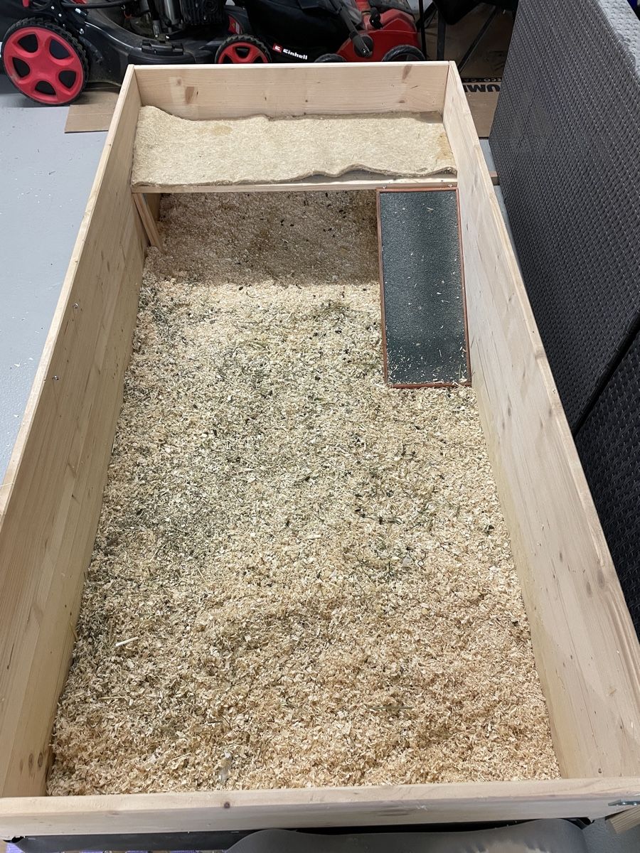 Gabbie, trasporto & Sicurezza: Meerschweinchen Gehege – Usato da Mägenwil venduto da Bienchen8 1