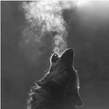 Profile image of med_ss5n