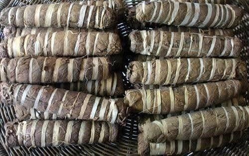 Piante & sementi: TABAC AZTEC sacred MAPACHO – Nuovo (secondo la descrizione) da Bremblens venduto da FIBONACCI369 4