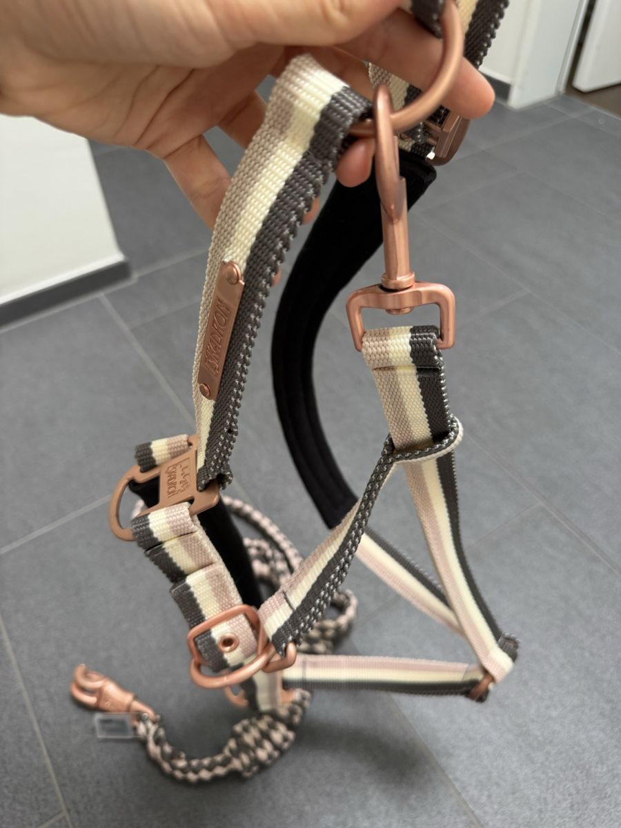 Eskadron Brides, licols: Eskadron Halfter mit Strick Set Grösse neu – Neuf avec emballage d'origine à Winterthur par Sjull 2